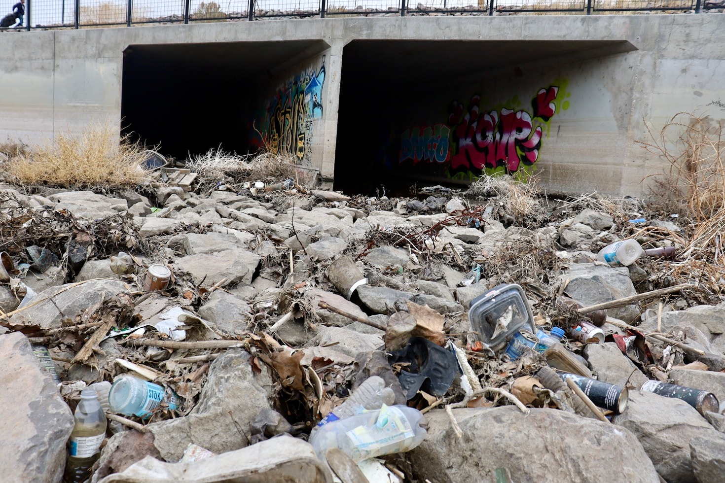 Le radici del disastro ambientale del Rio Rovigo